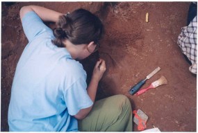 Wasson's Bluff Bonebed, Nova Scotia