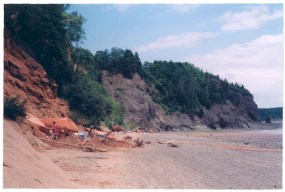 Wasson's Bluff Bonebed
