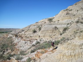 Dinosaur Provincial Park