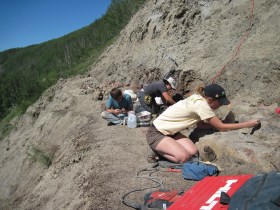 Wapiti River Bonebed