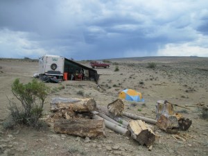 Mulichinco Formation, Argentina
