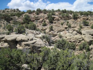 View from the hadrosaur excavation in Colorado